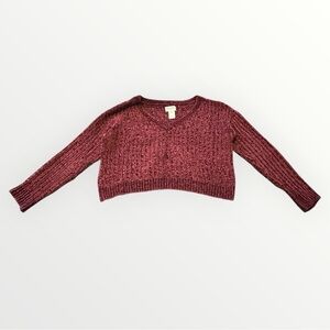Arizona Cropped V-Neck Sweater in Burgandy
